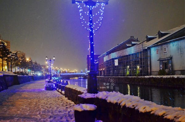 Winter Holiday in Hokkaido Japan for 7 days 5 nights: photo 32