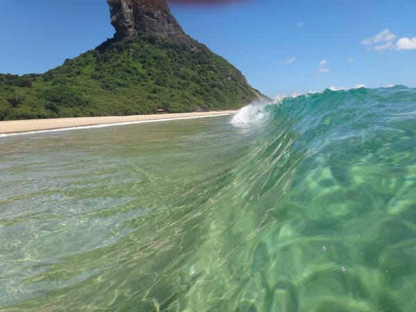 Fernando de Noronha: Tropical Island Getaway: photo 8
