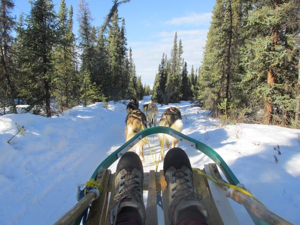 Magical Alaska - 5 Things To Do in Fairbanks: photo 4