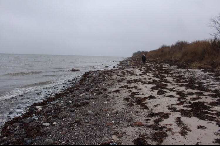 Why Should You Go to the South of Denmark?