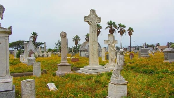 5 Thing to Do in Galveston That You (Probably) Haven’t Thought of: photo 1