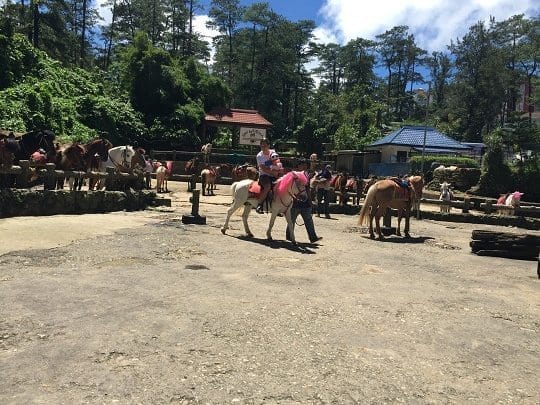 One day trip to City of Pines: Baguio City: photo 5