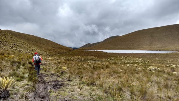 Top Places And Treks To Do In The EJE CAFETERO: Colombia: photo 8
