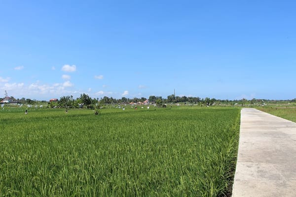 Ubud: A Quiet Treasure in Bali: photo 5