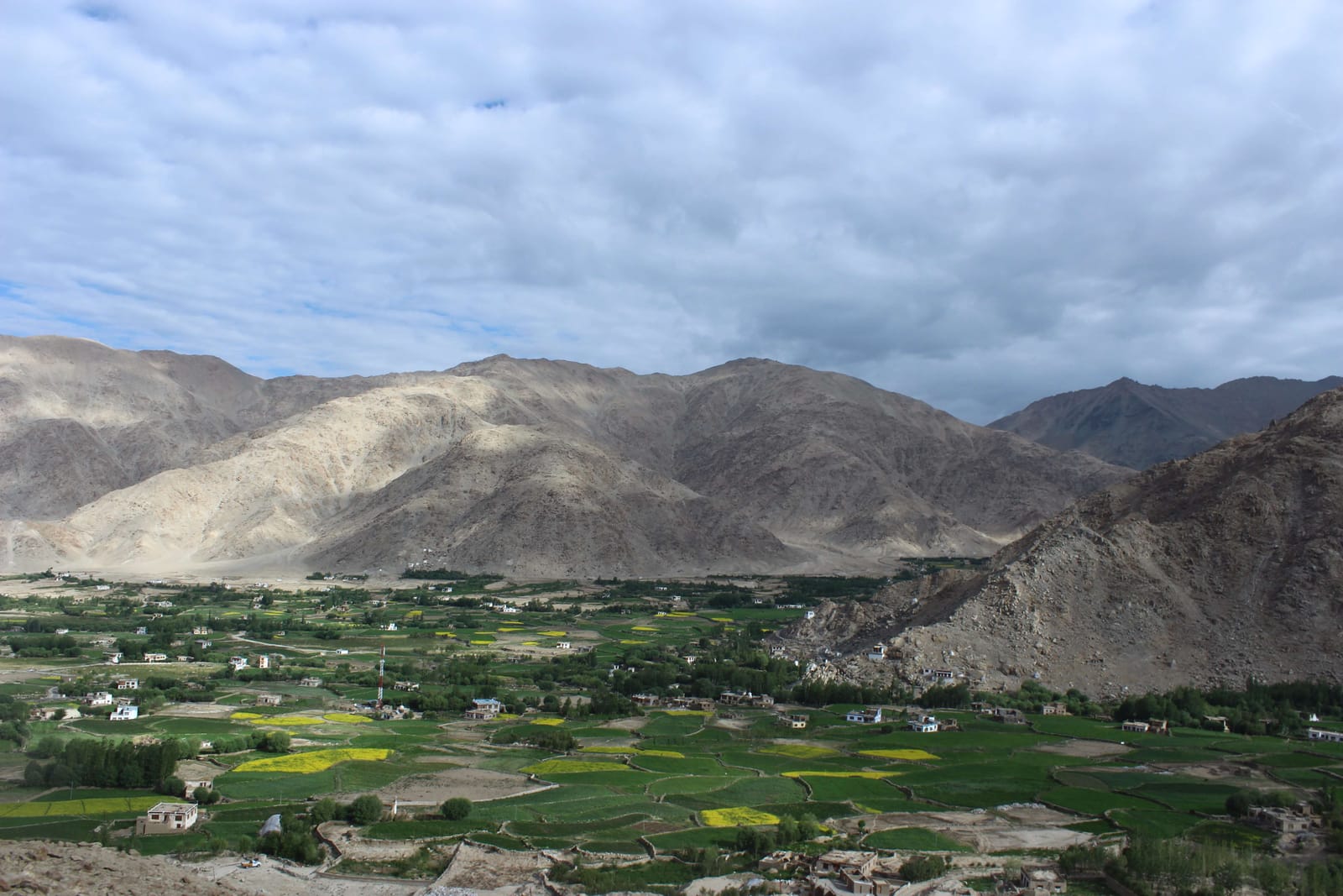 A trip to Ladakh: Pangong Lake, Nubra Valley and Monastries