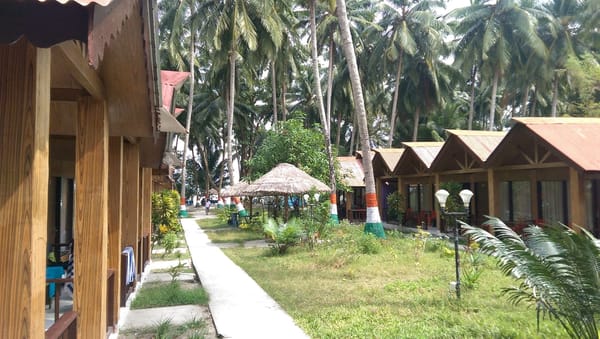 Heading to Andaman & Nicobar Islands: Get a Travel Agent: photo 2