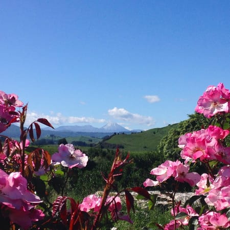 New Zealand's North Island: photo 3