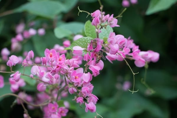 Singapore: Get Closer to Nature: photo 19