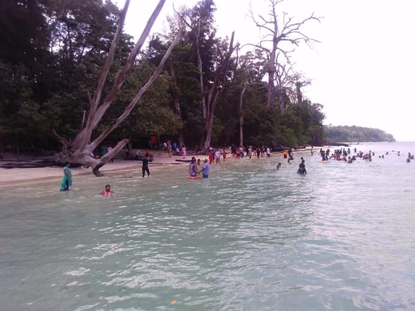 Andaman : The undisputed Paradise.: photo 17