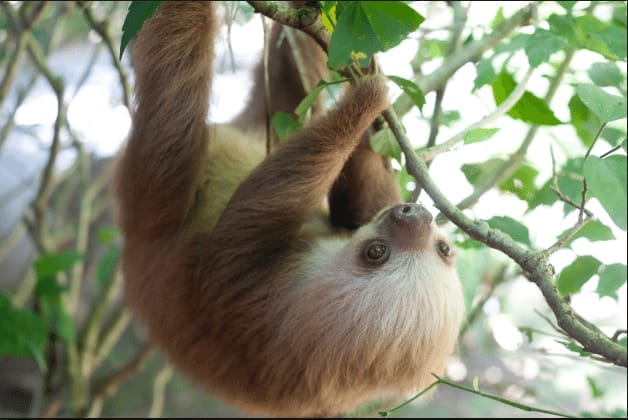 Top 5 Reasons to Visit Costa Rica