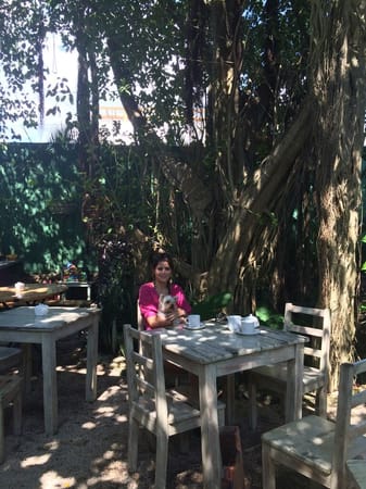 Mexico: Have you heard of a paradisiac place called Tulum?: photo 1