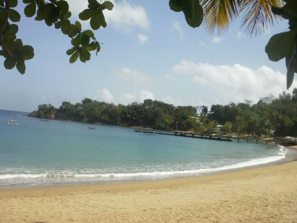 The Caribbean's Treasure Island: photo 7