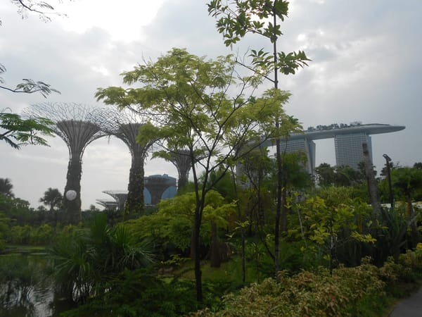 Singapore: one city, many cultures: photo 1