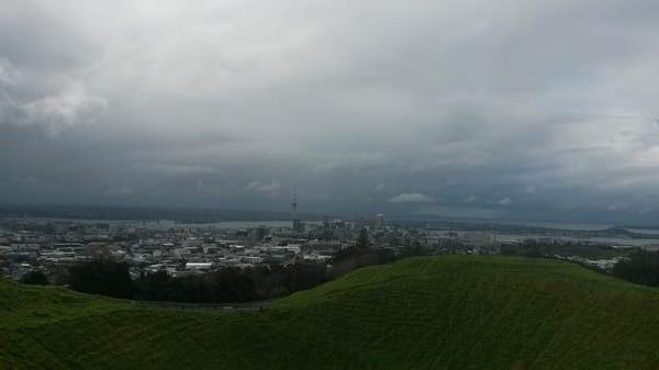 Auckland - beneath the busy city life: photo 8