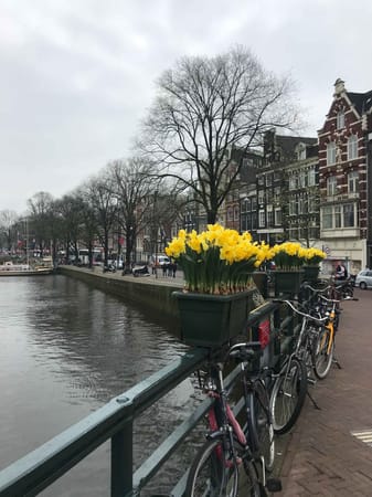 Amsterdam in Spring: What to do and where to go.: photo 4