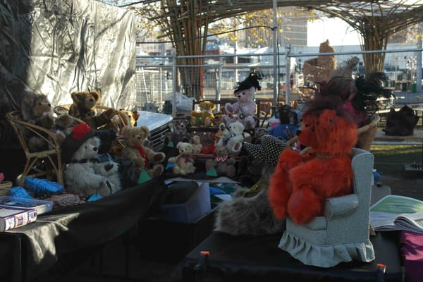 My Tasmanian Winter: Hobart: photo 21