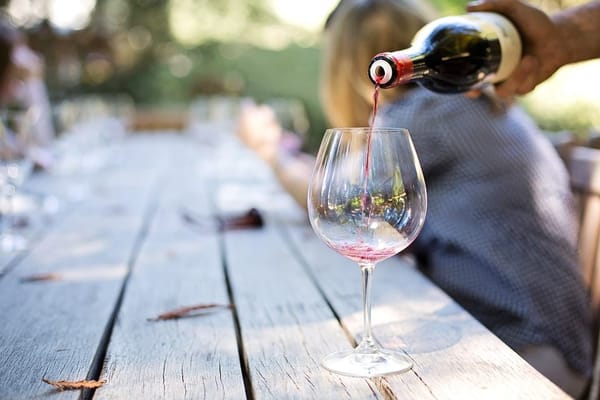 The 10 things in Cape Town you have to experience: photo 5