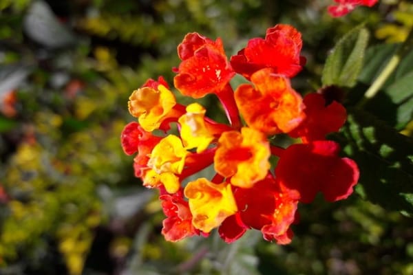 Baguio: What to see and do all-year round: photo 4