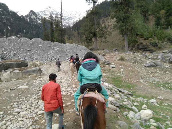 Kullu Manali Tour: Things You Must Do: photo 4