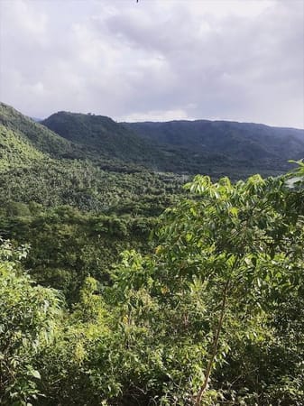 A Step-by-Step Travel Guide in Exploring Mt Daraitan River: photo 6