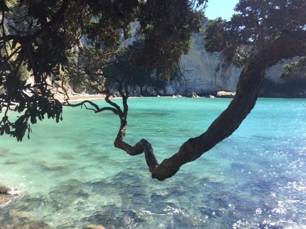 Coromandel Peninsula - The Ultimate Escape: photo 5