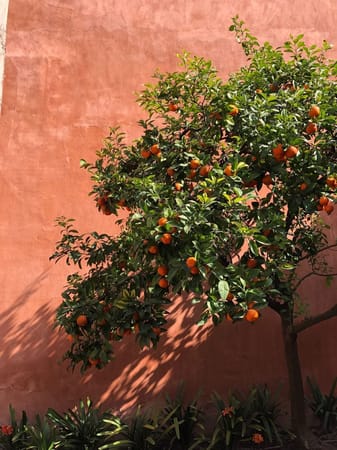A Perfect Two-Day Itinerary in Seville, Spain: photo 1