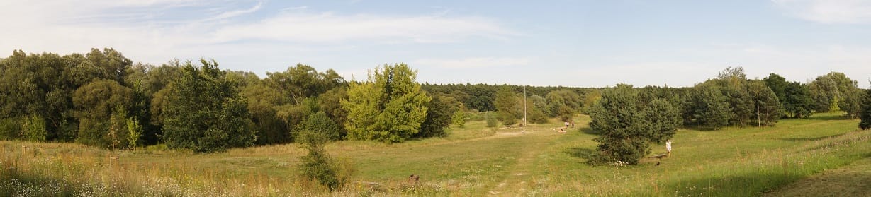 Puszczykowo - the green heart of Wielkopolska