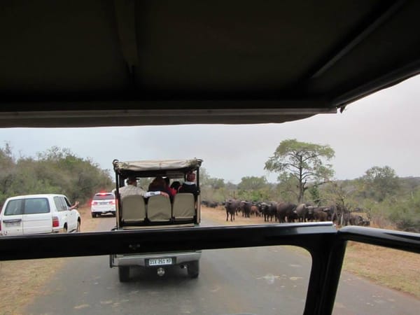 South Africa: Kruger National Park: photo 2