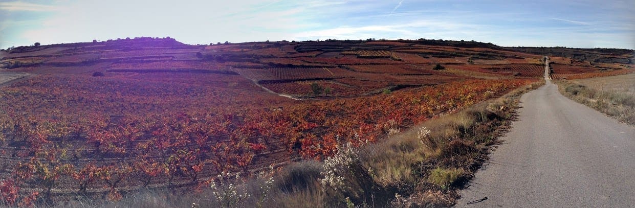 A Day in Spain’s Wine Country: Travel Guide for Logroño, La Rioja