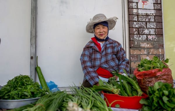 Melbourne's Migrant Stories: The Suburbs and Streets to See: photo 8