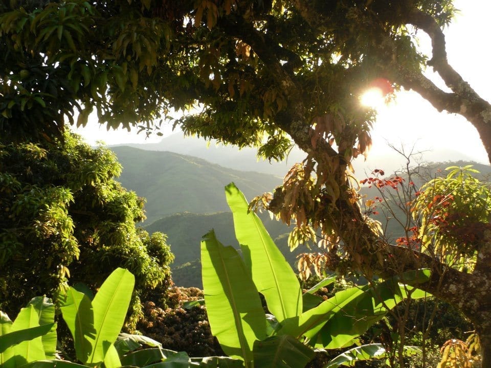 Paradise of a Unique Kind in Medellin, Colombia