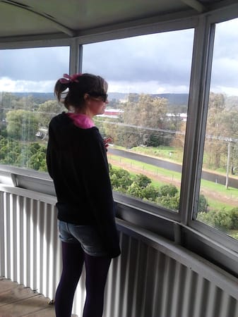 Harvey: The Best Day Trip in the South West: photo 1