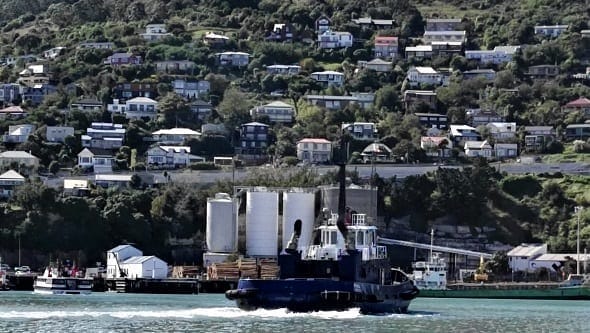 Lyttleton: Magical seaport town: photo 3