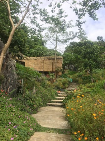 A Thrilling Treetop Adventure in Masungi Georeserve: photo 2