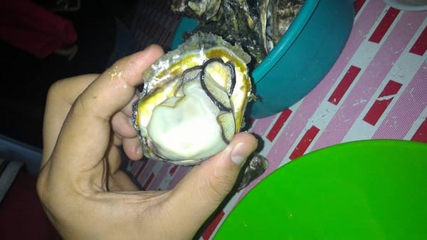 Iloilo City: The Philippines: photo 5