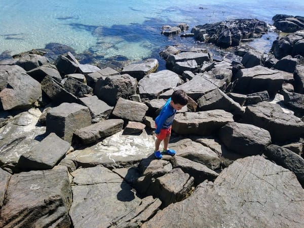 Cockle Creek: The end of the road adventure with kids: photo 5