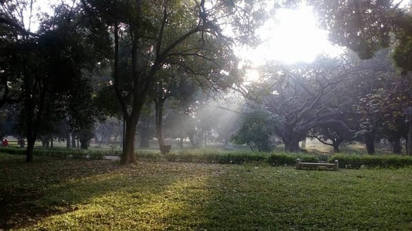 Food and Sights of Bangalore: photo 3
