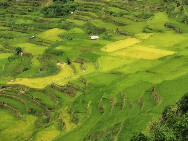 What Lies Behind the Mountains of Mountain Province, Philippines: photo 2