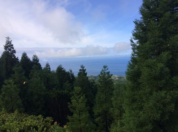 Discover the hidden magic of the AZORES (Portugal): photo 1
