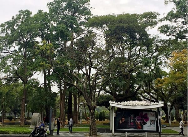 The Kaohsiung Cultural Center, Taiwan: photo 3