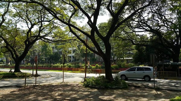 Discovering Quezon City – few minutes drive from Manila: photo 1