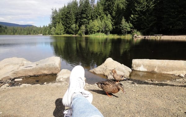 Oregon: the most beautiful places of interest in the state: photo 6
