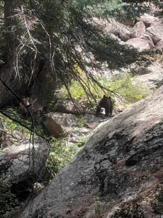 Things to Know About Colorado Hiking...for Newbies.: photo 2