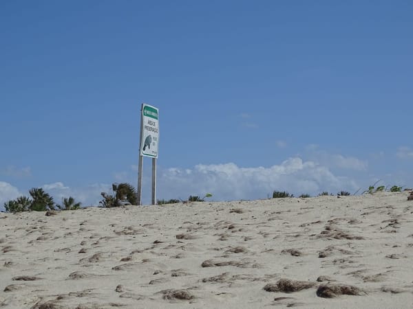 10 tips helping you enjoy the non-touristic Barra Grande: photo 2