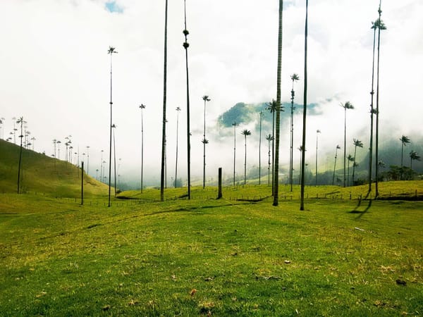Top Places And Treks To Do In The EJE CAFETERO: Colombia: photo 7