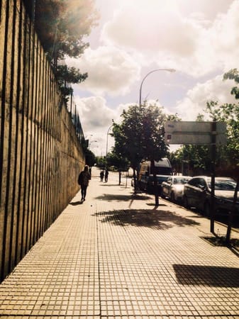 Salamanca: My Timeless Home: photo 1