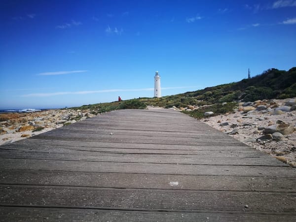 Jeffery's Bay, South Africa: photo 5