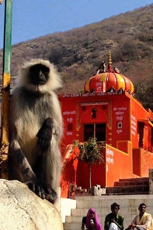 Pushkar : a pearl of Rajasthan: photo 5