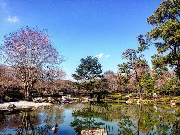 Texas as a traveling destination: photo 2
