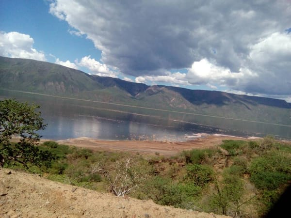 Must see at a Kenya trip to Lake Bogoria: photo 1